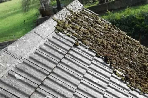 Rodger Cleaning Services - Residential & Commercial Cleaning. Professional External Cleaning Services in Ireland. Windows, Roofs, Gutters, Fascias/Soffts, Driveways, Patios, Solar Panels, etc. We provide high-quality external cleaning services using professional equipment and safe methods to restore and protect your property.