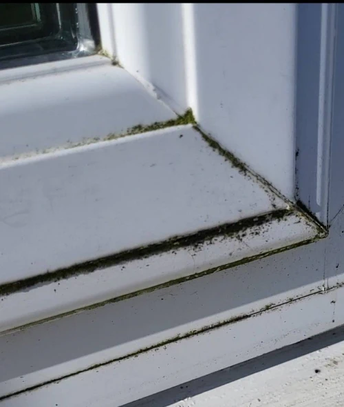 a2 Rodger Cleaning Services - Residential & Commercial Cleaning. Professional External Cleaning Services in Ireland. Windows, Roofs, Gutters, Fascias/Soffts, Driveways, Patios, Solar Panels, etc. We provide high-quality external cleaning services using professional equipment and safe methods to restore and protect your property.