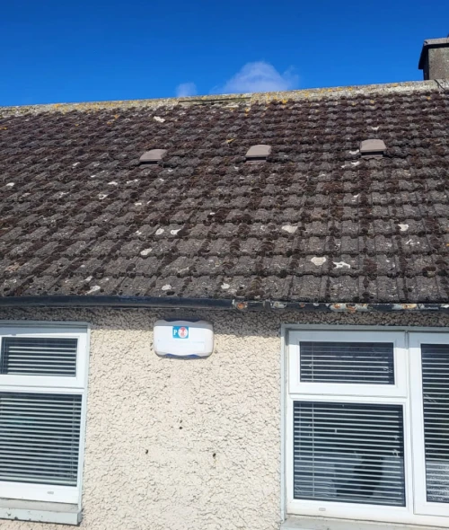 a4 Rodger Cleaning Services - Residential & Commercial Cleaning. Professional External Cleaning Services in Ireland. Windows, Roofs, Gutters, Fascias/Soffts, Driveways, Patios, Solar Panels, etc. We provide high-quality external cleaning services using professional equipment and safe methods to restore and protect your property.