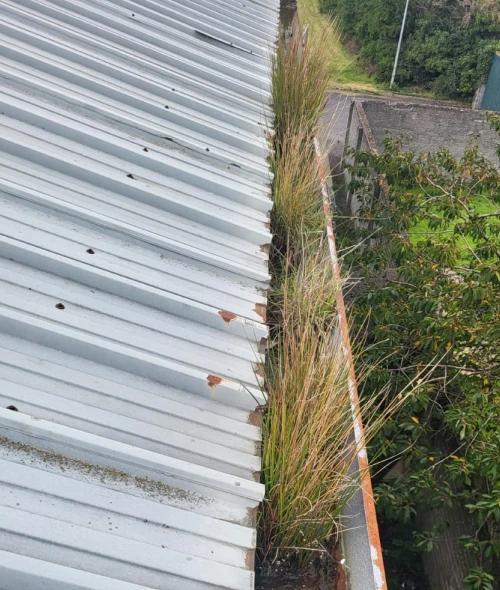 calha 1 Rodger Cleaning Services - Residential & Commercial Cleaning. Professional External Cleaning Services in Ireland. Windows, Roofs, Gutters, Fascias/Soffts, Driveways, Patios, Solar Panels, etc. We provide high-quality external cleaning services using professional equipment and safe methods to restore and protect your property.