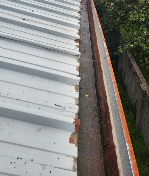 Rodger Cleaning Services - Residential & Commercial Cleaning. Professional External Cleaning Services in Ireland. Windows, Roofs, Gutters, Fascias/Soffts, Driveways, Patios, Solar Panels, etc. We provide high-quality external cleaning services using professional equipment and safe methods to restore and protect your property.