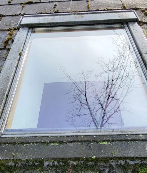 Rodger Cleaning Services - Residential & Commercial Cleaning. Professional External Cleaning Services in Ireland. Windows, Roofs, Gutters, Fascias/Soffts, Driveways, Patios, Solar Panels, etc. We provide high-quality external cleaning services using professional equipment and safe methods to restore and protect your property.